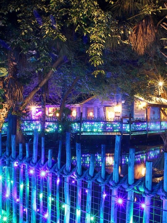 palm beach zoo Archives Palm Beach on the Cheap